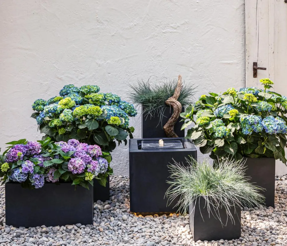 Dehner Pflanzkübel & Blumenkästen > Kunststein-Kasten Manchester, rechteckig