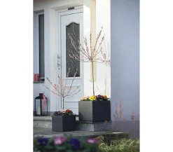 Dehner Pflanzkübel & Blumenkästen|Blumentöpfe & Übertöpfe > Kunststoff-Blumenkübel Palermo, quadratisch