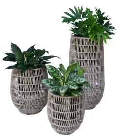 Dehner Blumentöpfe & Übertöpfe > Kunststoff-Flechttopf Portofino, rund, braun