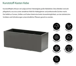 Dehner Kunststoff-Kasten Kebe, rechteckig, ca. B100/H40/T40 cm Dunkelgrau Online