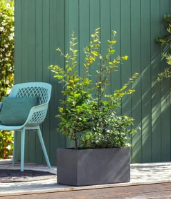Dehner Kunststoff-Kasten Kebe, rechteckig, ca. B100/H40/T40 cm Dunkelgrau Online