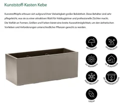 Dehner Pflanzkübel & Blumenkästen > Kunststoff-Kasten Kebe, rechteckig, ca. B100/H40/T40 cm