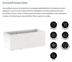 Dehner Pflanzkübel & Blumenkästen > Kunststoff-Kasten Kebe, rechteckig, ca. B100/H40/T40 cm