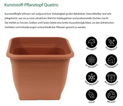 Dehner Blumentöpfe & Übertöpfe > Kunststoff-Pflanztopf Quattro, eckig