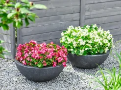 Dehner Kunststoff-Schale Miami, rund, anthrazit, ca. Ø52/H20 cm Dunkelgrau Clearance