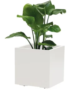 Dehner Blumentöpfe & Übertöpfe > Kunststoff-Topf Kebe, quadratisch, ca. B40/H40/T40 cm