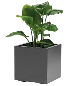 Dehner Kunststoff-Topf Kebe, quadratisch, ca. B40/H40/T40 cm Anthrazit Sale