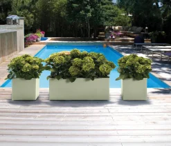 Dehner Kunststoff-Topf Kebe, quadratisch, ca. B40/H40/T40 cm Grün Outlet