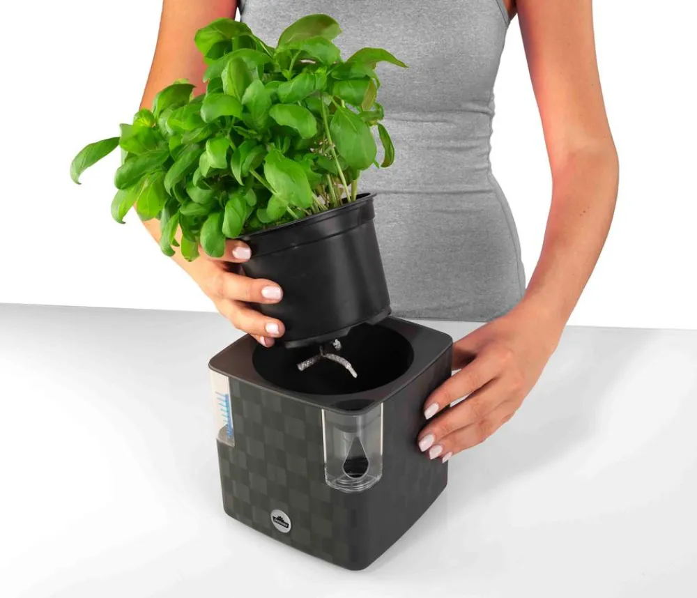 Dehner Blumentöpfe & Übertöpfe > Kunststoff-Topf Mona, eckig, ca. B14/H14/T14 cm