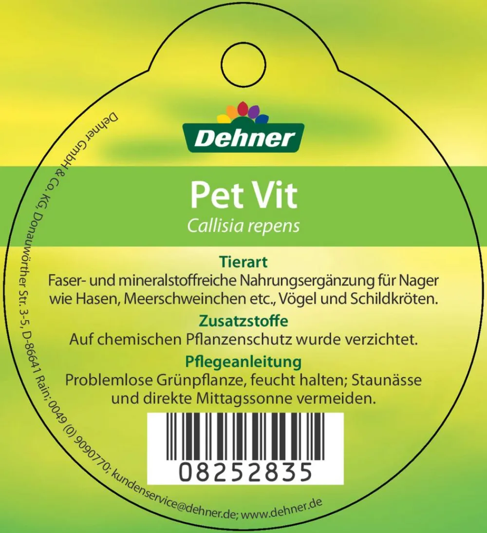 Dehner Lieblinge Vogelfutter & Snacks|Reptilienfutter > Callisie 'PetVit'