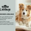 Dehner Lieblinge Ungezieferschutz|Hundepflege & Hygiene - Floh- und Zeckenschutz Spot On für mittelgroße Hunde, 4 x 2 ml