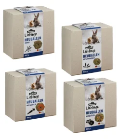 Dehner Lieblinge Heuballen Probierset, 4 x 400 g Online