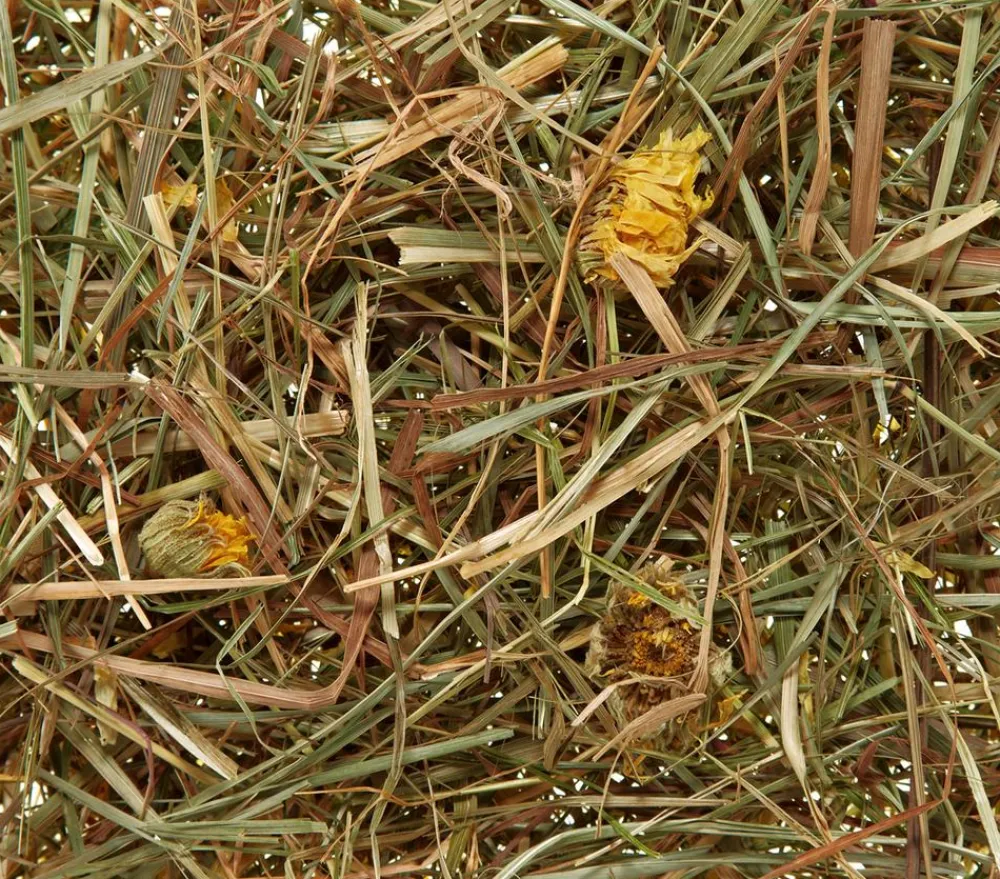 Dehner Lieblinge Heu - Heu vom Land mit Löwenzahn, 500 g