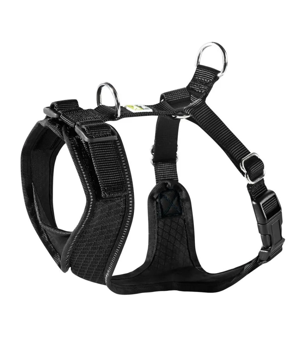 Dehner Lieblinge Hundehalsbänder & Geschirre - Hundegechirr Pyrit Schwarz