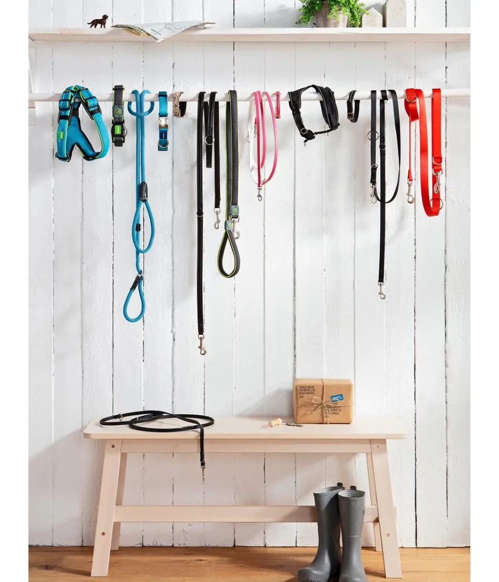 Dehner Lieblinge Hundeleinen > Hundeeine Aventurin