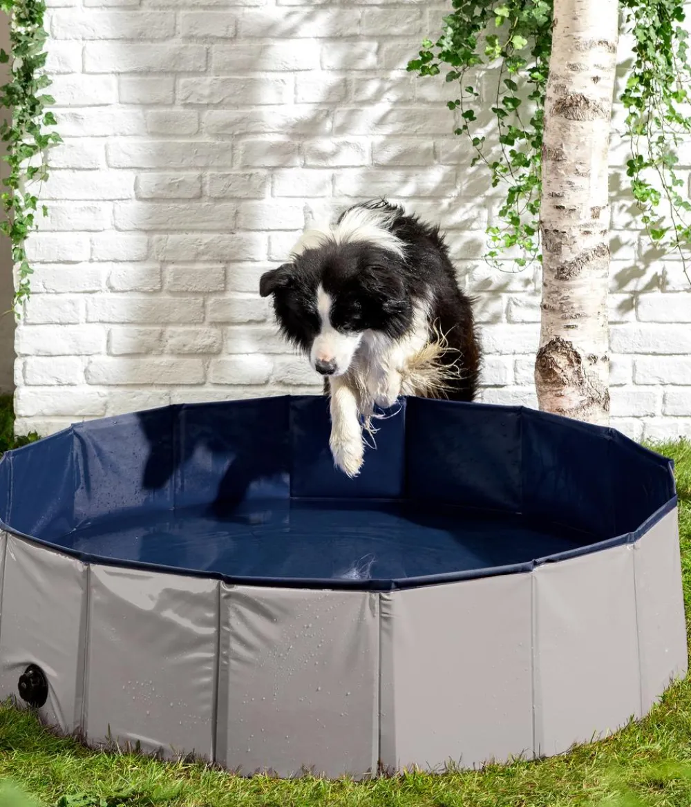 Dehner Lieblinge Hundespielzeug - Hundepool Water Fun, ca. Ø120/H30 cm Dunkelgrau