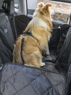Dehner Lieblinge Mehr Transport & Unterwegs - Hunde-Sicherheitsgurt Security, ca. L55-73/B2,5 cm