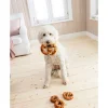 Dehner Lieblinge Hundesnack Hunde-Bagel mit Huhn Clearance