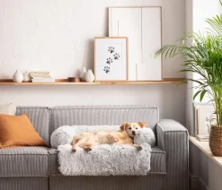 Dehner Lieblinge Mehr Hundeschlafplätze - Hundesofa Taro, quadratisch, Weiß