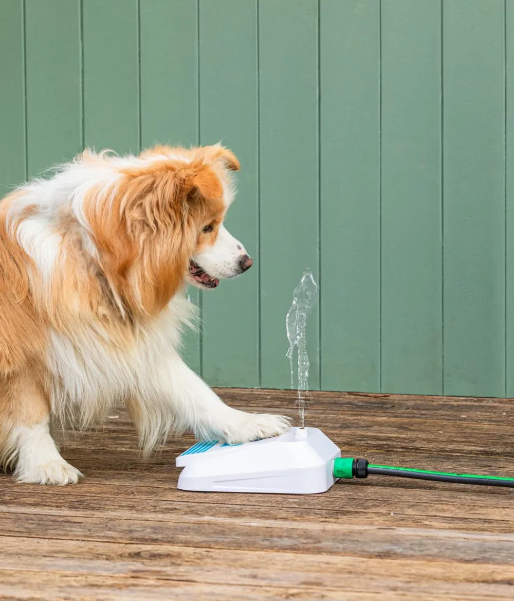 Dehner Lieblinge Hundespielzeug Wasserfontäne Sprinkler, ca. B28/H9/T22 cm Weiß Discount