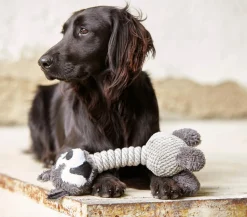 Dehner Lieblinge Hundespielzeug Racoon Grau Best