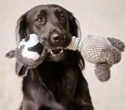 Dehner Lieblinge Hundespielzeug Racoon Grau Best