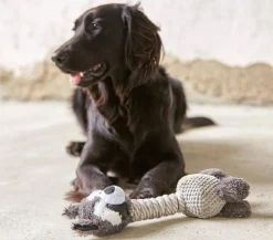 Dehner Lieblinge Hundespielzeug Racoon Grau Best