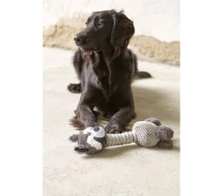 Dehner Lieblinge Hundespielzeug Racoon Grau Best
