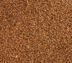 Dehner Lieblinge Kleintierfutter|Vogelfutter & Snacks > Japanhirse, 1 kg