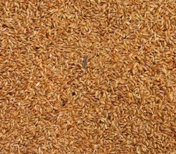 Dehner Lieblinge Kleintierfutter|Vogelfutter & Snacks - Kanariensaat, 1 kg