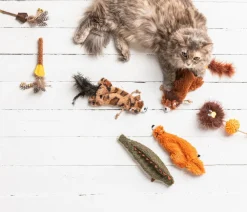 Dehner Lieblinge Katzenspielzeug - Katzenspielzeug Little Fox , ca. B8,5/H24,5 cm Orange
