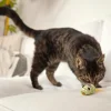 Dehner Lieblinge Katzenspielzeug Spielmäuse Funny, 2er-Set Clearance