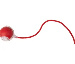 Dehner Lieblinge Katzenspielzeug > Katzenspielzeug Rolling, ca. B5,9/H4,9/T36 cm