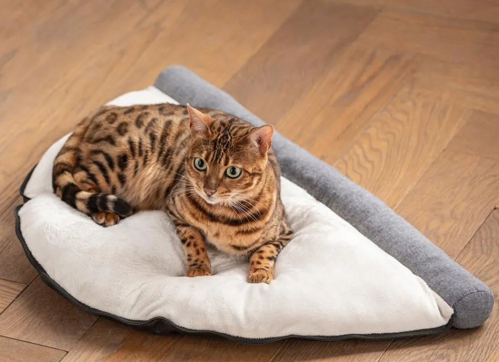 Dehner Lieblinge Katzenspielzeug - Katzentunnel Play and rest, ca. B105/H40/T60 cm