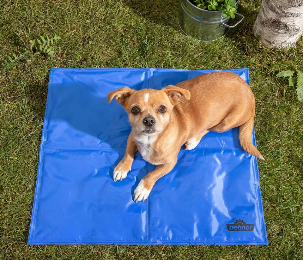 Mehr Transport & Unterwegs|Hundedecken > Dehner Lieblinge Kühlmatte Refresh, rechteckig, /