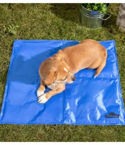 Dehner Lieblinge Mehr Transport & Unterwegs|Hundedecken > Kühlmatte Refresh, rechteckig,