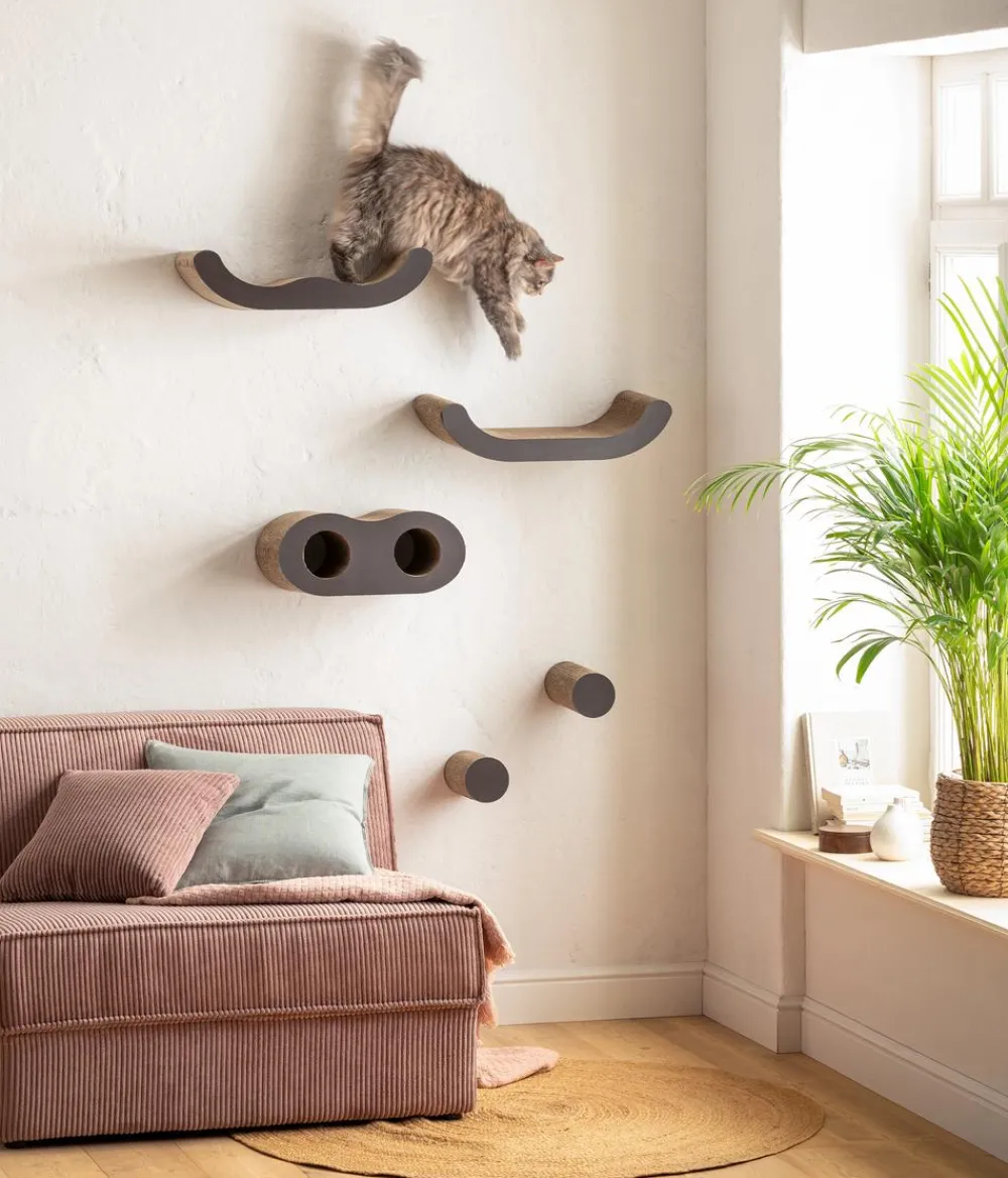 Dehner Lieblinge Mehr Schlaf- & Kratzmöbel > Kletterwand Sidney, 5-teilig
