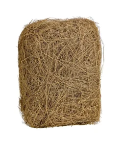 Dehner Lieblinge Kokosfasern, 50 g Sale