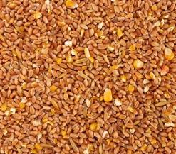 Dehner Lieblinge Bauernhof Zubehör|Hühnerfutter - Körnerfutter für Ziergeflügel, 5 kg