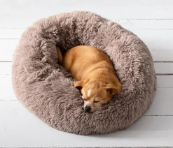 Dehner Lieblinge Kuschebett Cookie, rund Hellbraun Online