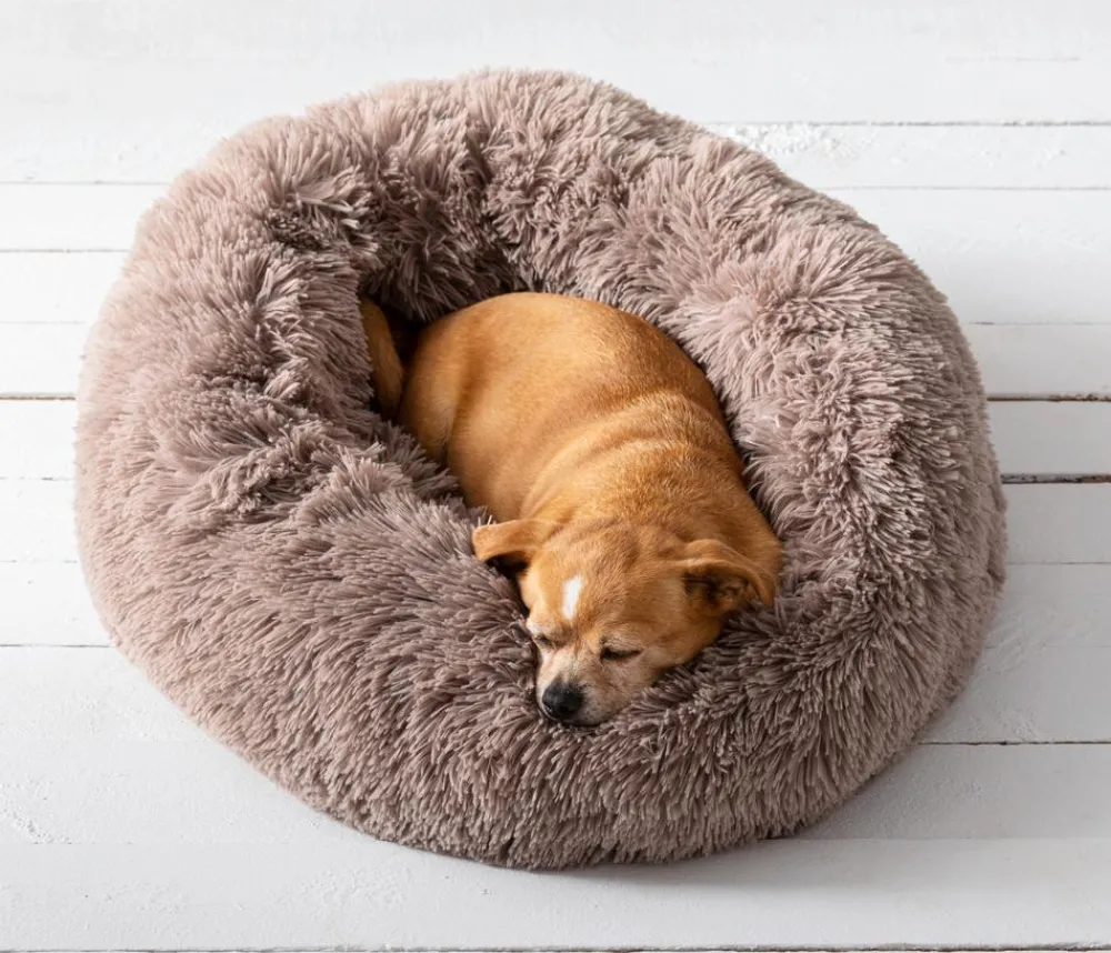 Dehner Lieblinge Kuschebett Cookie, rund Hellbraun Online