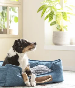 Dehner Lieblinge Hundebetten & Körbe|Katzenbetten & Katzenkissen > Kuchebett Cyru, rechteckig,