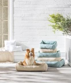 Dehner Lieblinge Kuchebett Kito, rechteckig, grau Fenstergrau New