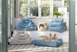 Dehner Lieblinge Hundebetten & Körbe|Katzenbetten & Katzenkissen - Kuchebett Baroque, rechteckig, petro Blau