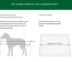 Dehner Lieblinge Kuschedecke Seepy, rechteckig Beige Best