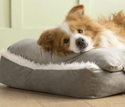 Dehner Lieblinge Hundekissen|Katzenbetten & Katzenkissen > Kuschekissen Duchesse, rechteckig