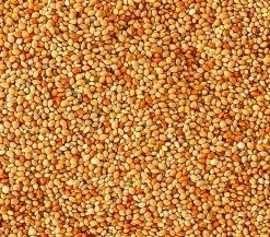 Dehner Lieblinge Vogelfutter & Snacks - Lebertranfutter für Sittiche und Exoten, 20 g