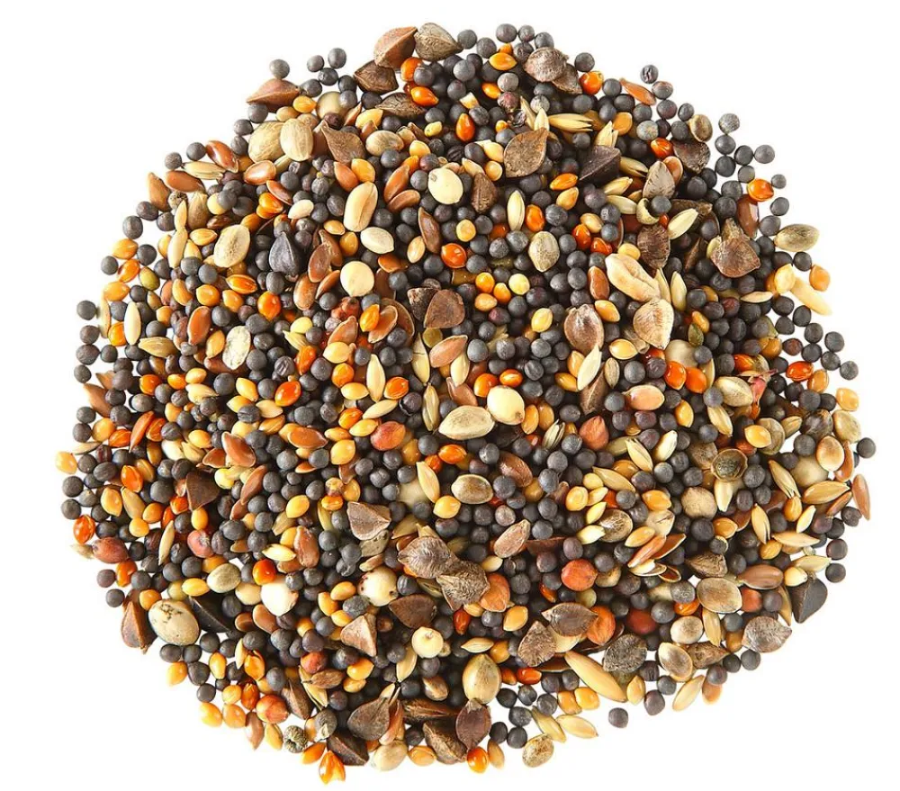 Dehner Lieblinge Vogelfutter & Snacks > Leckerbissen für Kanarien, 20 g
