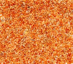 Dehner Lieblinge Leckerbissen für Sittiche und Exoten, 20 g Best