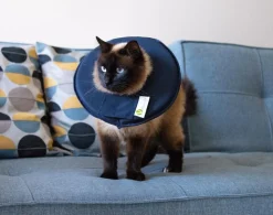 Dehner Lieblinge Leckschutzkragen für Hunde & Katzen Dunkelblau Sale